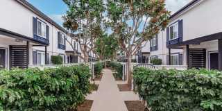Sandpointe Cove Apartment Homes Gallery 3