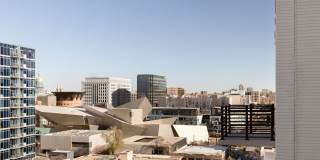 Patten Gray Gallery 30