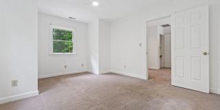 Bolin Creek 4 Bedroom House with Fabulous Forest Views Available May 15! Gallery 19