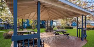 Timber at the Bay Gallery 26