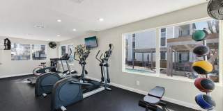 Treehouse Gallery 22