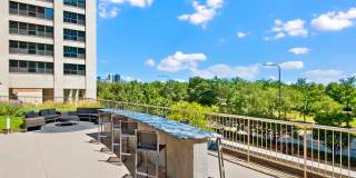 1128 S Michigan Ave Gallery 10