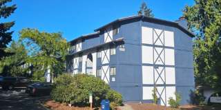 Orchard Park Apartments Gallery 14