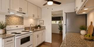 Charming Pualei Circle 1BR Condo with Parking, Pool & Utilities Included Gallery 4