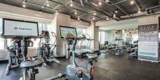 The Harlo Gallery 11