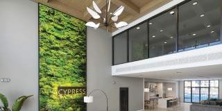 Cypress Sol Gallery 4