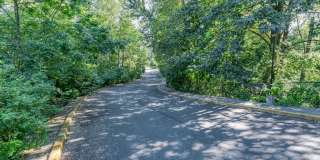 Springbrook Reserve Gallery 5