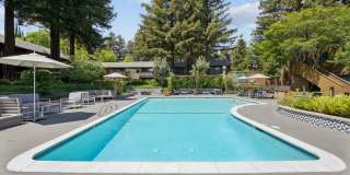 Old Orchard Apartments Gallery 17