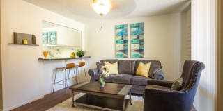 Scottsdale 59 Gallery 6