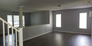 Huge 4 bed 2.5 bath house newly renovated Gallery 7