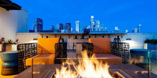 The Wilson Gallery 12