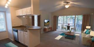 Malabar Lakes Gallery 16