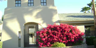 fclgo19 fclgo19 Gallery 23