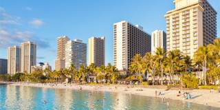 Lilia Waikiki Gallery 16