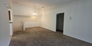 8196 CABIN LAKE Circle Gallery 4