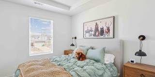 Elio at Research Park Homes for Rent Gallery 8