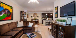 Oasis at Montclair Gallery 26