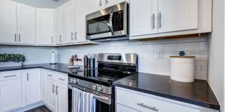 Amavi Sherrills Ford Gallery 5