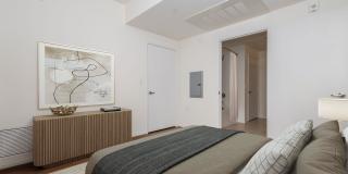 Vineyards Gallery 155