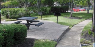 Walden Pond Gallery 15