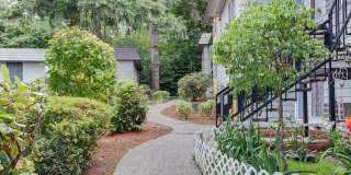 Cypress Crest Gallery 7