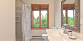 Winter Rental: Wingaerchic (Dog-friendly!) Gallery 28