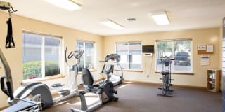 Ashford Apartments Gallery 19