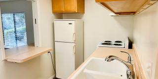 1BD/1BA LA JOLLA COTTAGE ACROSS FROM WINDANSEA! AVAILABLE JUNE FOR $2,895/mo! Gallery 5