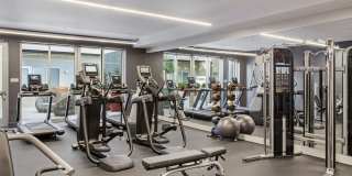 Telegraph Arts Gallery 9