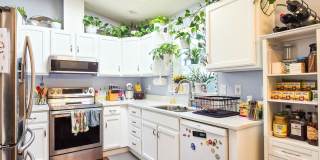 4BD/2.5BA Monroe Home Gallery 4