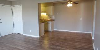 32724 Harper Gallery 4
