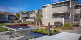 The Alexandar Gallery 23