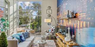 Albion At Morrow Park Gallery 24