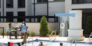 The Julington Gallery 15