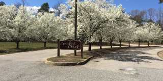 11006 Golden Nugget Court Gallery 1