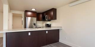 Newly Remodeled 3BR w/ In-Unit W/D, Private Entry & Designer Finishes – Pet Friendly! Gallery 28