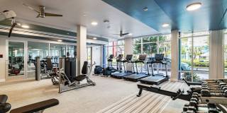 Legacy Encore Gallery 5