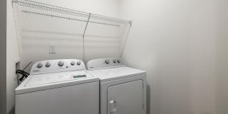 Arlow at Blue Ridge Gallery 24