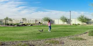 Village at Camelback Park Gallery 44