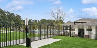 Ascend at Carlton Gallery 48