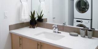1 Bed 1 Bath Capitol Hill Condo! Rooftop + Gym Access Gallery 10