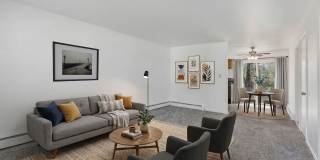5680 Folchi Gallery 5