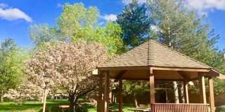 Completely Renovated 3 Bedroom Condo in the Wimbledon NOW AVAILABLE ! Gallery 22