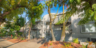 400-420 N. Oakland Ave. Gallery 84