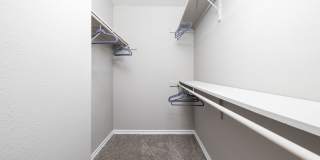 The Lynx The Lynx Gallery 6