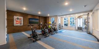 Lenox SoCo Gallery 22