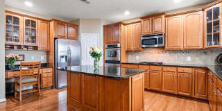 22250 Waterberry Terrace Gallery 9