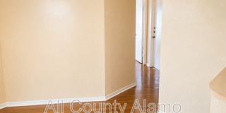 11782 Spring Song Gallery 12