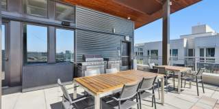 Eleanor Eleanor Gallery 7