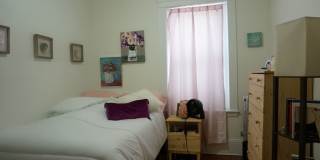 Nice 2 bed in Allston Gallery 7